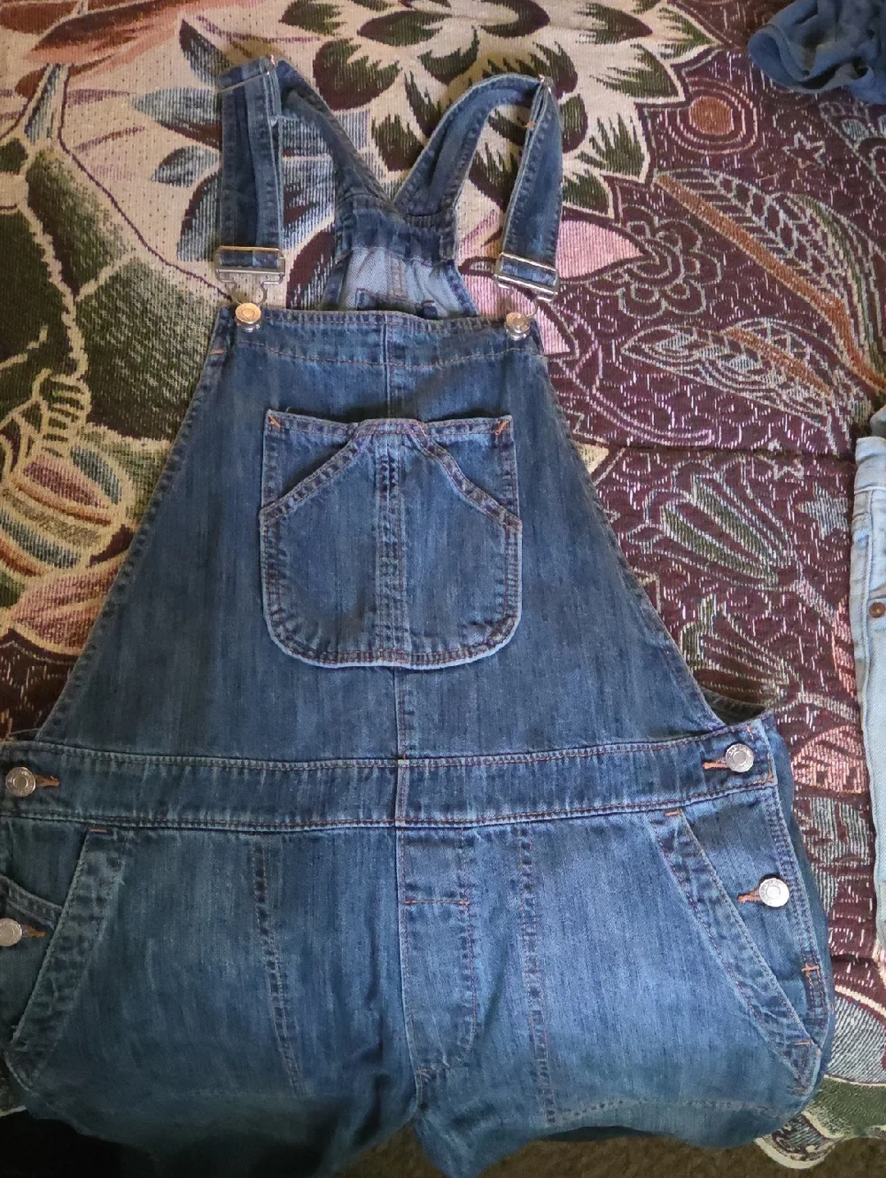 GAP Overalls - Picture 1 of 8